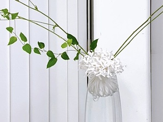 研究科2年3級8月＜植物と紙（ユポ紙）＞