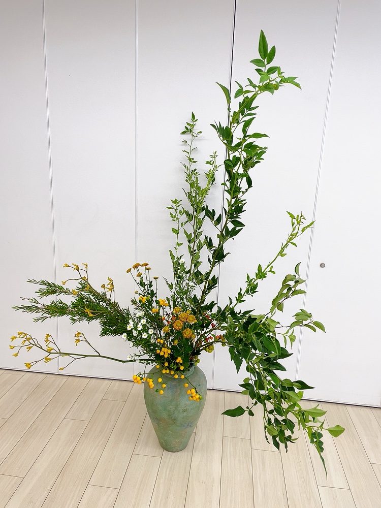 １０月のつぼいけ
