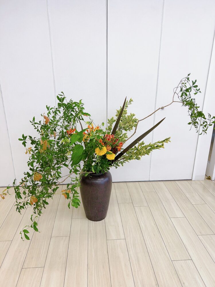 ５月のつぼいけ