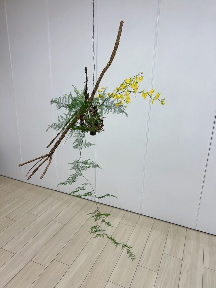 研究科１級３年５月＜宙に浮く＞