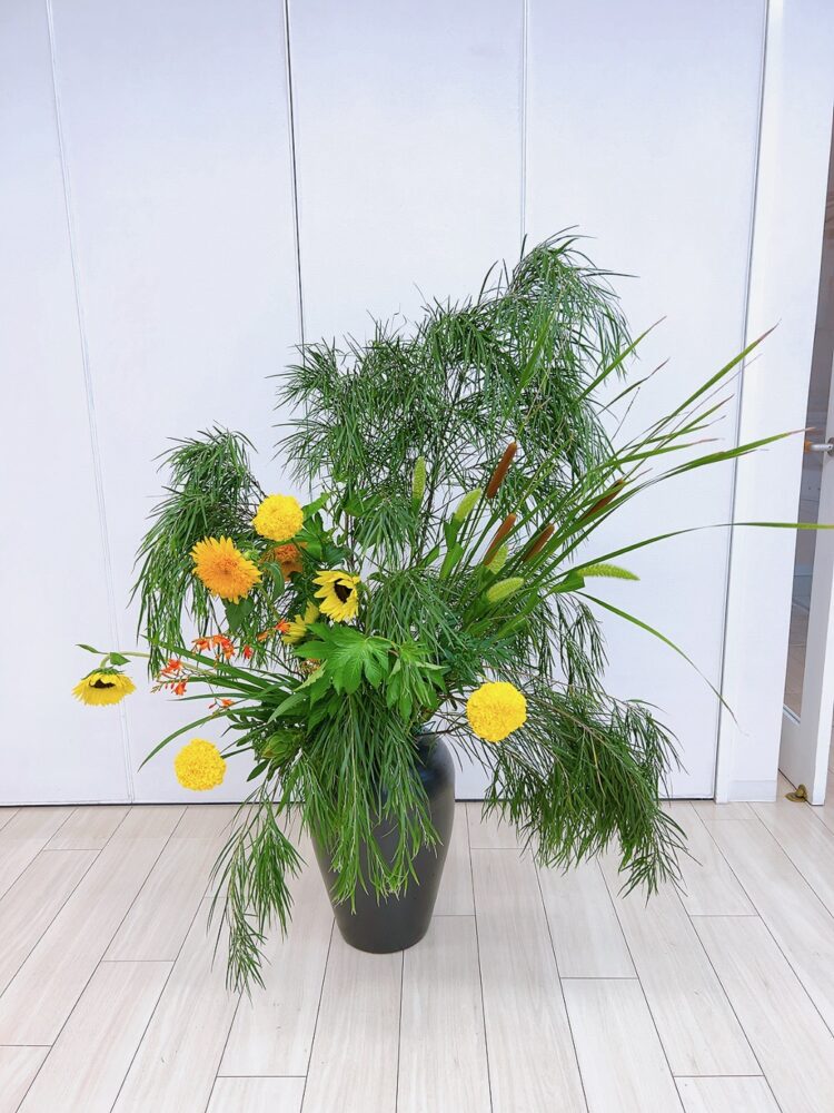 ７月のつぼいけ