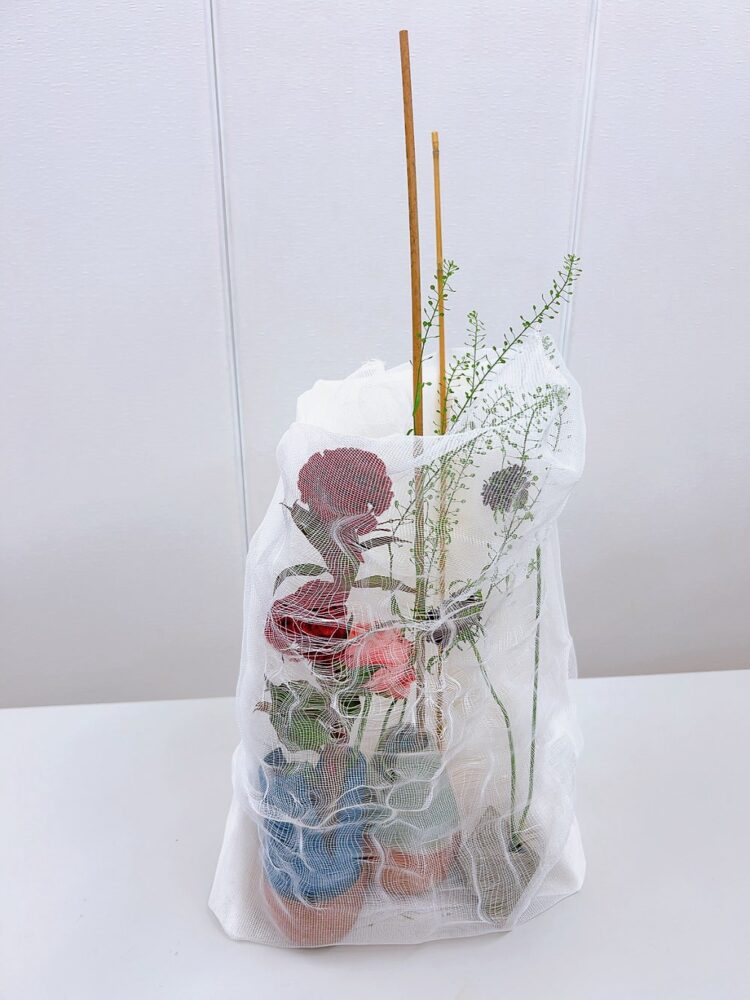 研究科２級３年７月＜植物と布Ⅱ（寒冷紗）＞