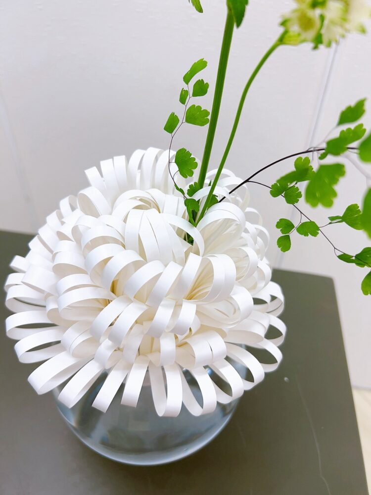 研究科２級３年８月＜植物と紙Ⅴ（ユポ紙）＞