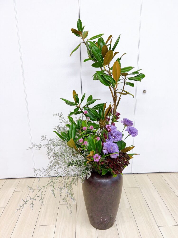 １０月のつぼいけ