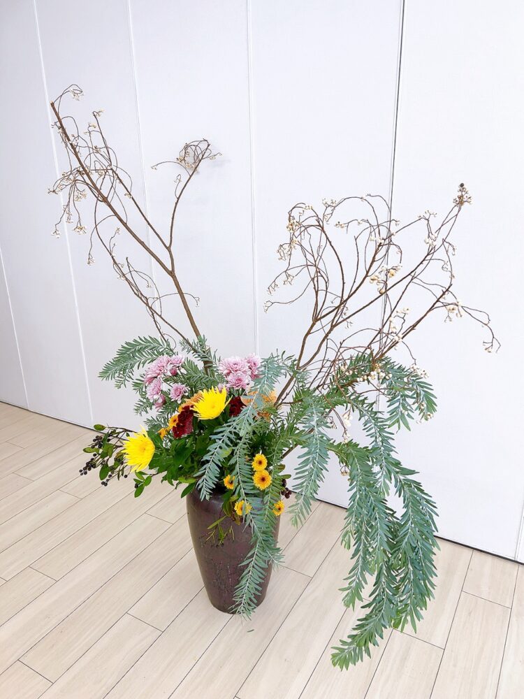 １１月のつぼいけ
