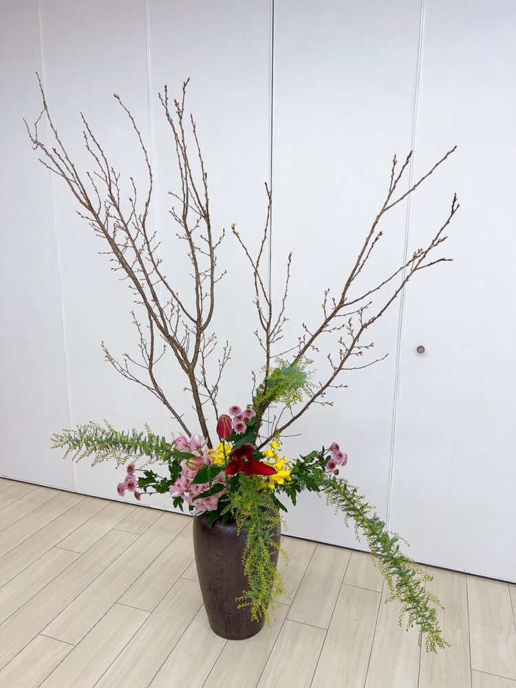 ２月のつぼいけ