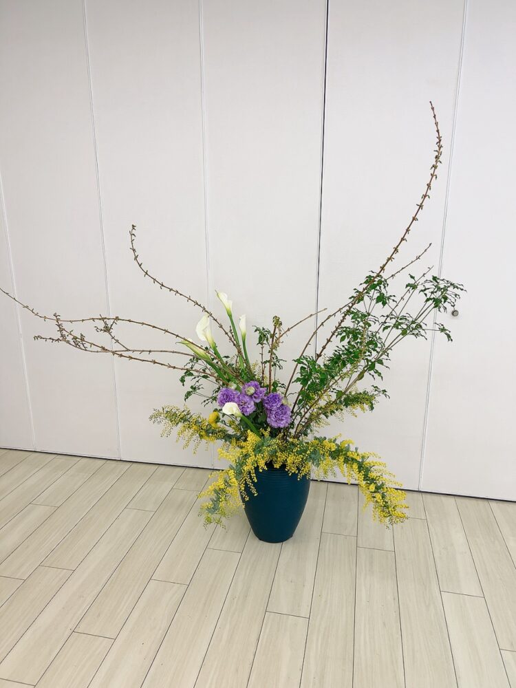 ３月のつぼいけ