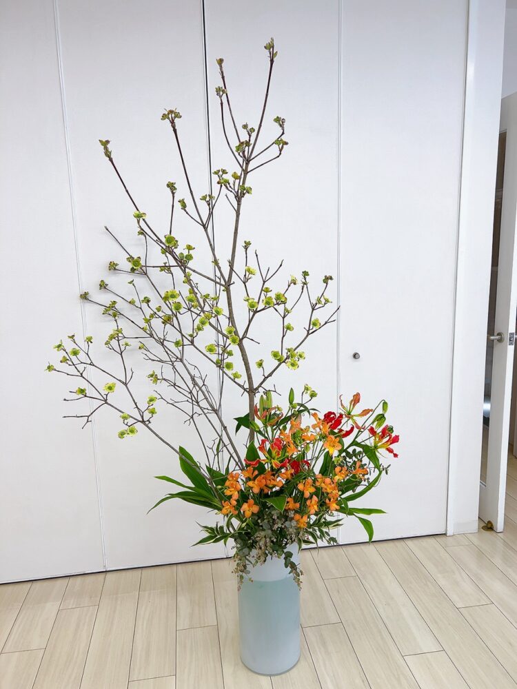 ４月のつぼいけ