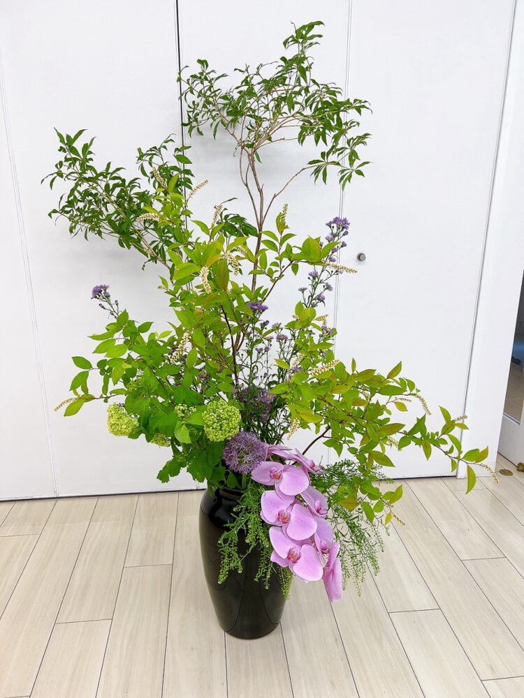 ５月のつぼいけ
