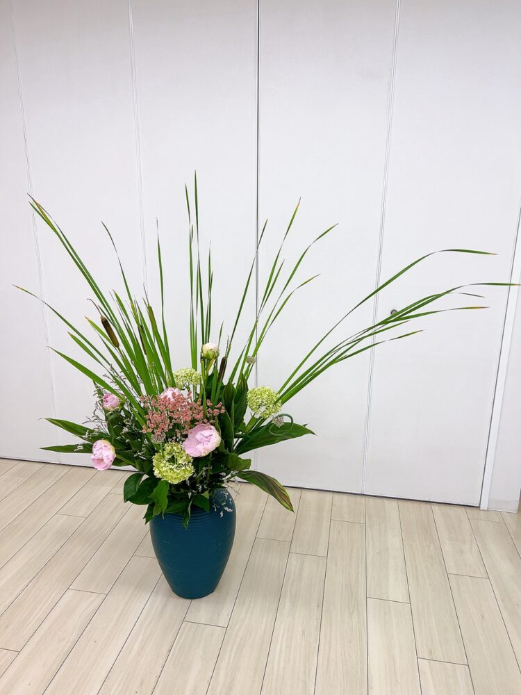 6月のつぼいけ