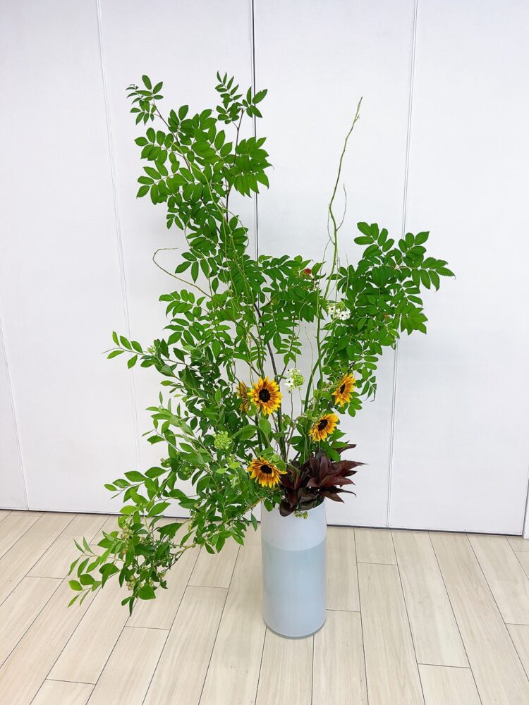 ７月のつぼいけ