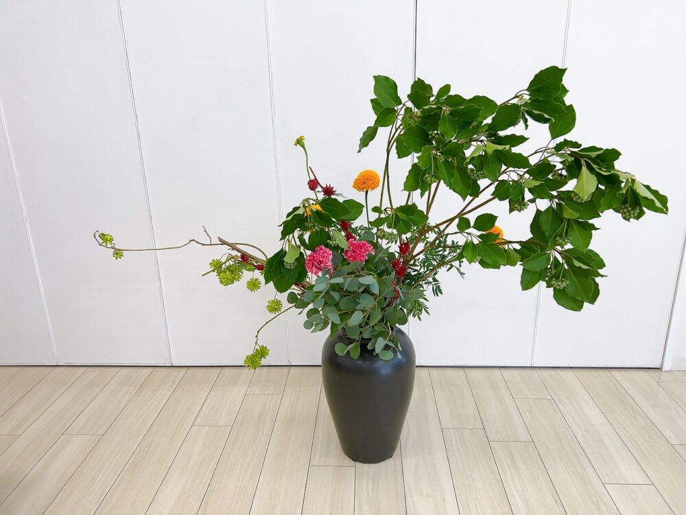 ９月のつぼいけ