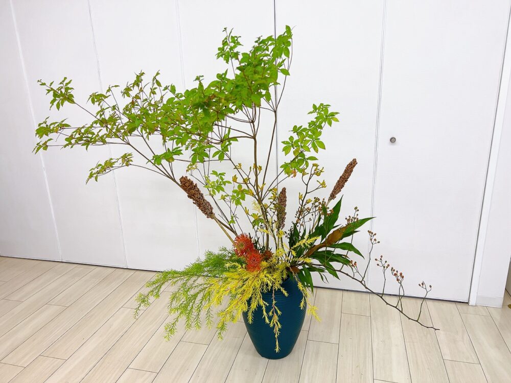 10月のつぼいけ