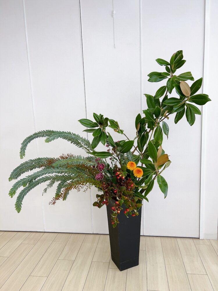 11月のつぼいけ