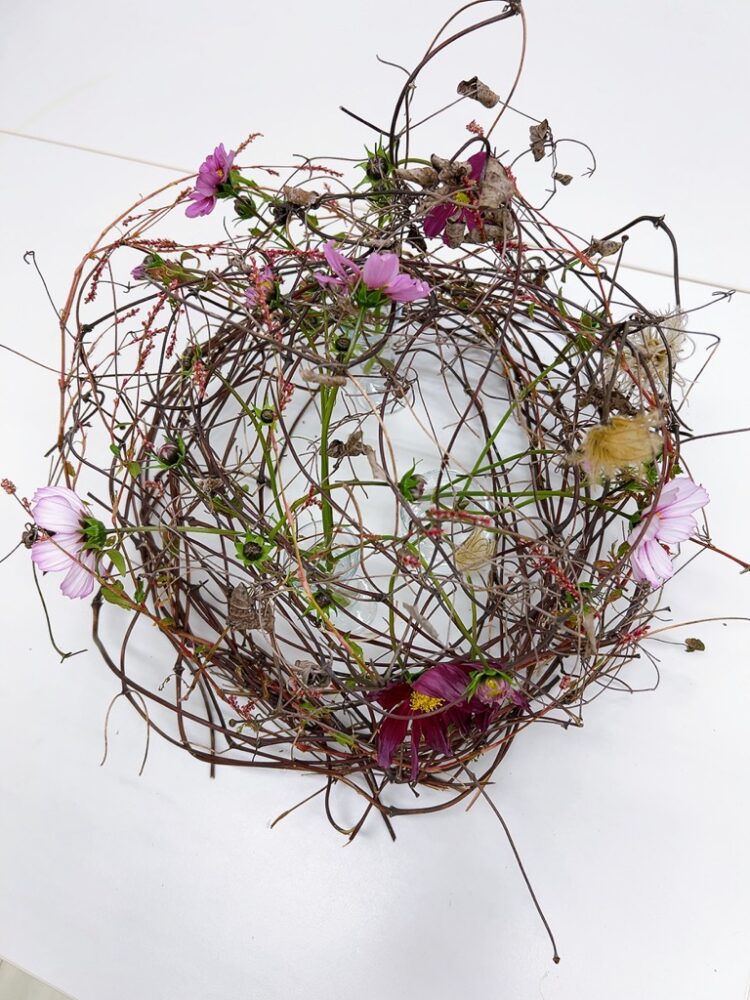 研究科１級１年 ＜フレッシュとドライⅡ（立ち枯れ）＞