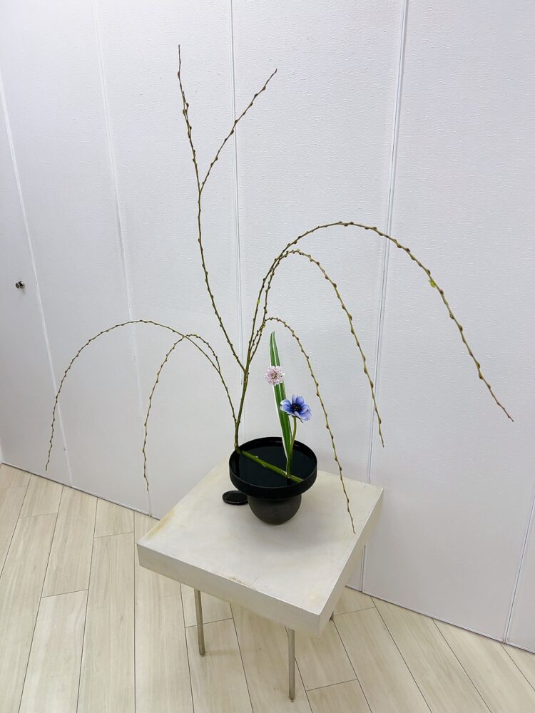 研究科1級1年1月<線の構成Ⅰ(やなぎ)> 研究科1級1年1月<線の構成Ⅰ(やなぎ)>