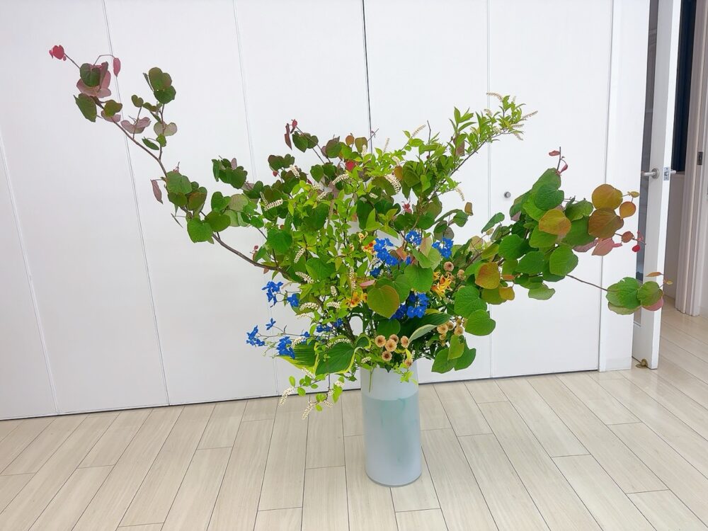 5月のつぼいけ 5月のつぼいけ