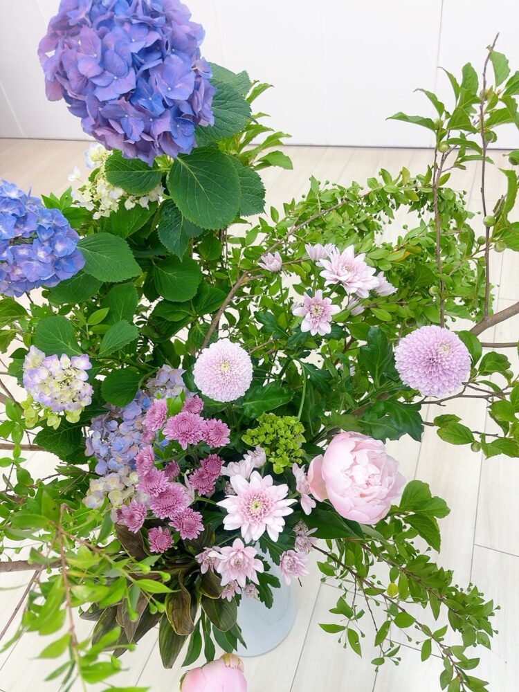 6月のつぼいけ 6月のつぼいけ