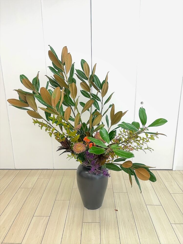 10月つぼいけ 10月つぼいけ